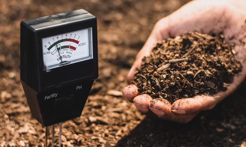 Blog-Soil-Analysis